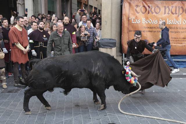 ➡️El toro nupcial sale a las calles de Teruel en la celebración de las Bodas de Isabel Segura, fiesta que recrea la historia de los amantes de Teruel.

El 7 de julio, el Ayuntamiento aprobó la solicitud para que sean reconocidas como Fiestas de Interés Turístico Internacional.