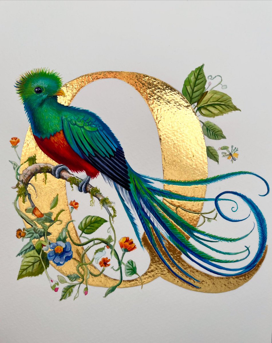 ‘Q’ is for Quetzal
Watercolour, gouache and 24k gold
28 x 21 cms
By Sheila Wallis
