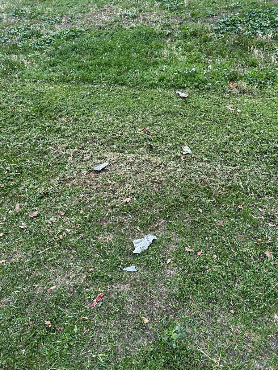 Mark ON TOUR Bittlestone tweet media