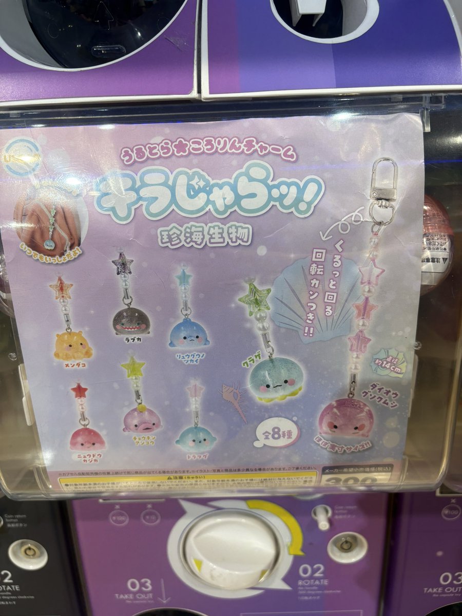 ラブカいた😳