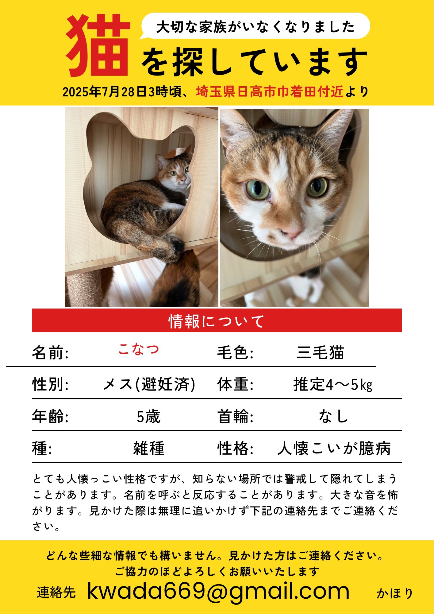 Jam or Pains.様 ぬいぐるみ 月猫 Jam or Pains.様 ぬいぐるみ 月猫