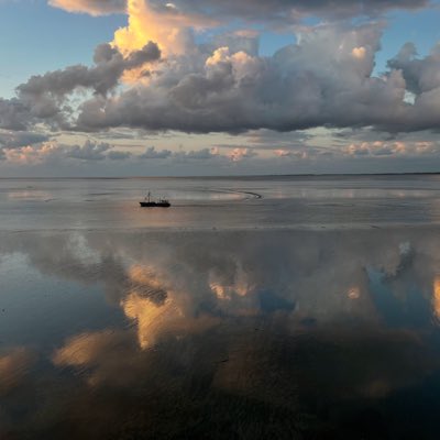 MoniqueMajoor's tweet photo. #nieuweprofielfoto https://t.co/HA5iSnwgej