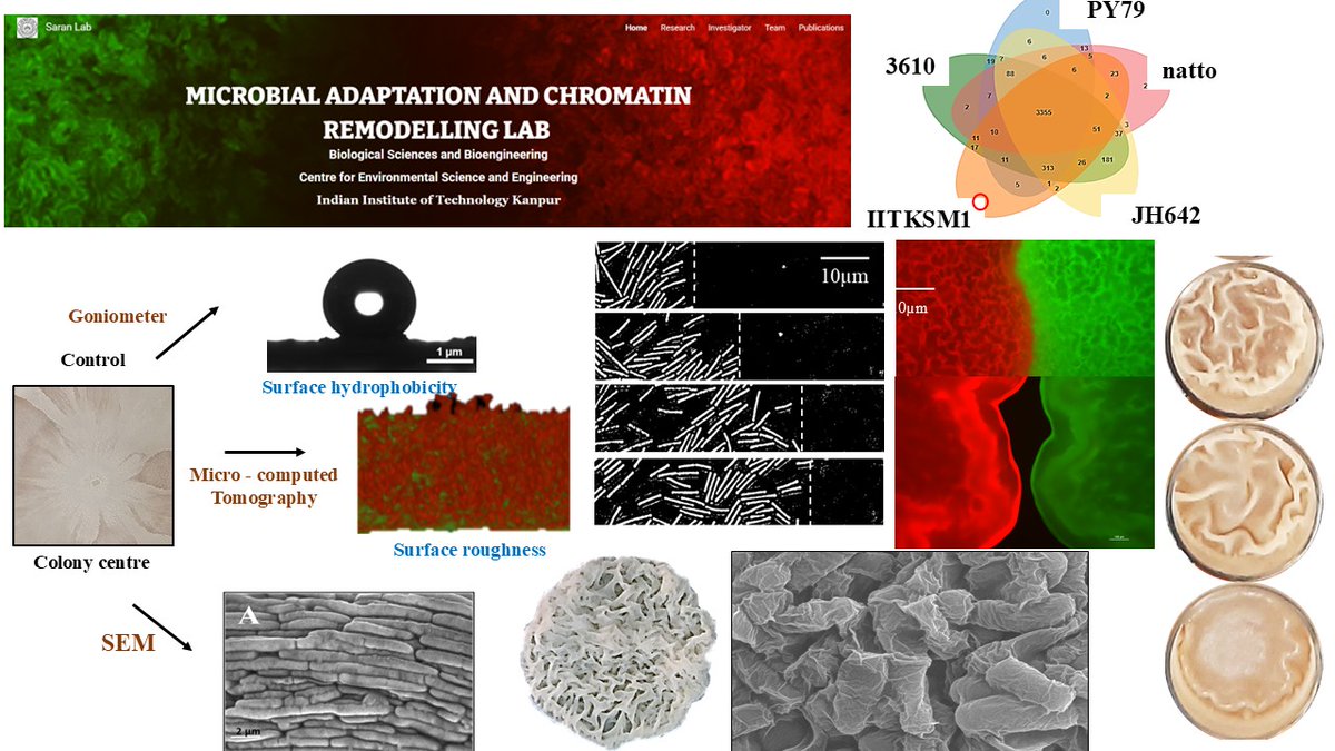 Saravanan Matheshwaran (@saran240478) on Twitter photo O
Are you an M.Sc student with experience in Bacterial Biofilms? An exciting industry-sponsored research project is currently open for recruitment @ Saran lab, BSBE, IIT Kanpur
If you're interested, please send your CV to saran@iitk.ac.in. O
Are you an M.Sc student with experience in Bacterial Biofilms? An exciting industry-sponsored research project is currently open for recruitment @ Saran lab, BSBE, IIT Kanpur
If you're interested, please send your CV to saran@iitk.ac.in.