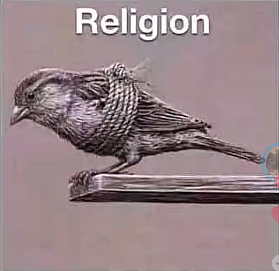 Maximum atheist (@maximumatheist) on Twitter photo 
