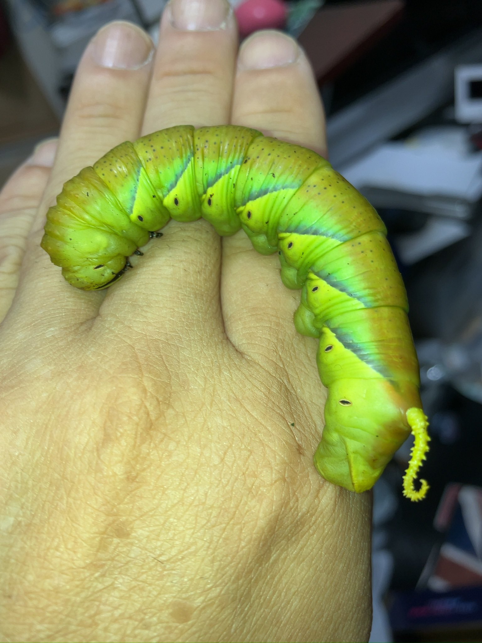 あいちゃん様のページ aiko | ♪ ウィンク練習中♡ まだ少し鼻声な娘 皆さんは体調