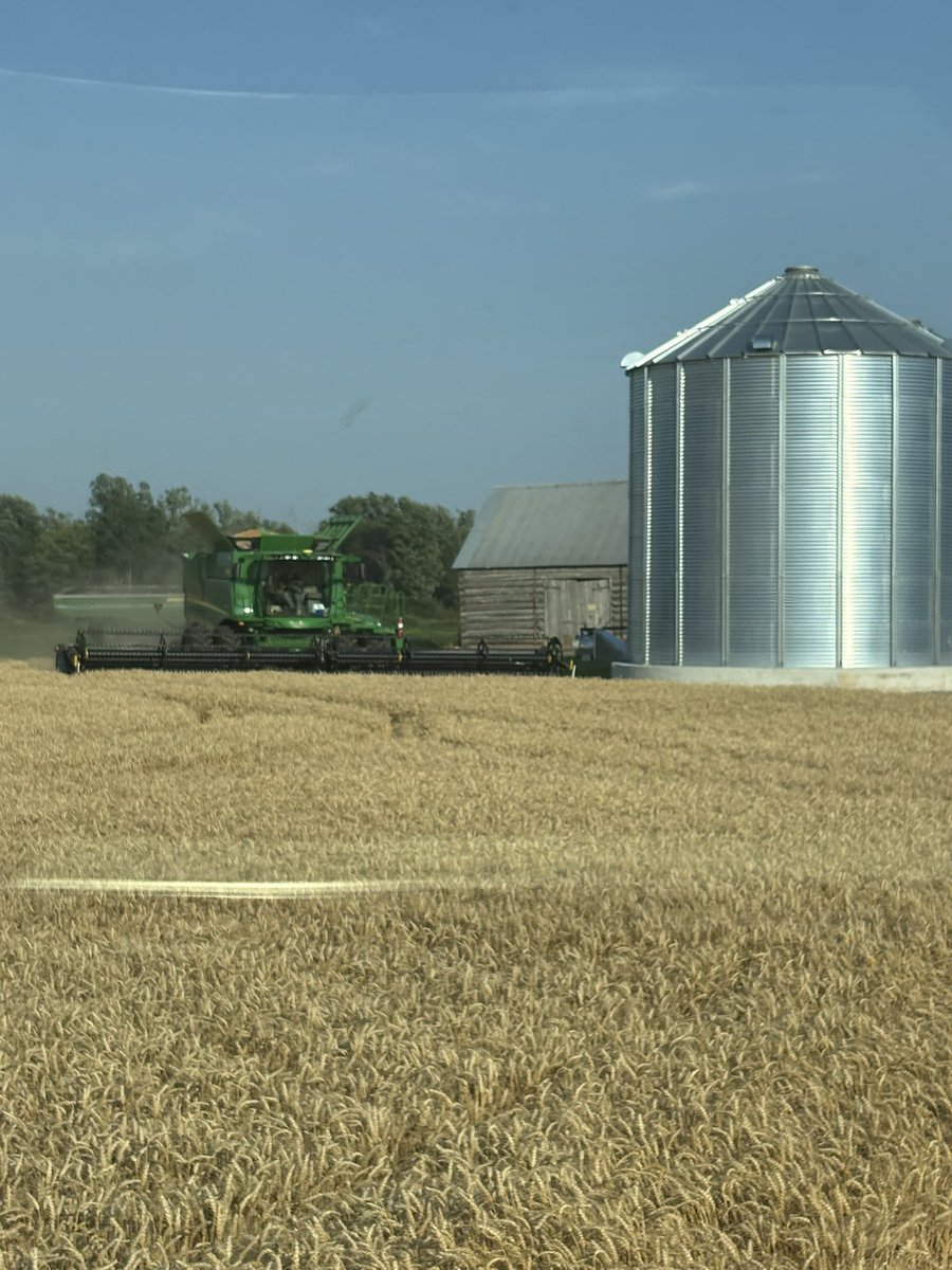 Wheat harvest 2025 is in the books