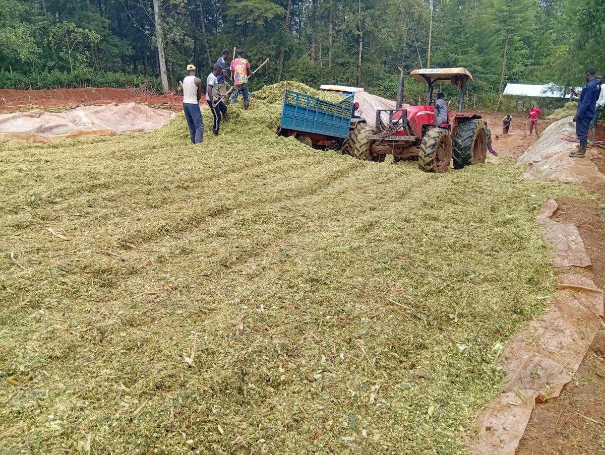 The future of farming belongs to the consistent.✨️

Not the biggest landowners.
Not those with the most capital.
Not the lucky.

But the ones who show up with a market plan, sharpened skills, and quality produce.
Even when it’s tough they show up and grow.
Effort never betrays.
