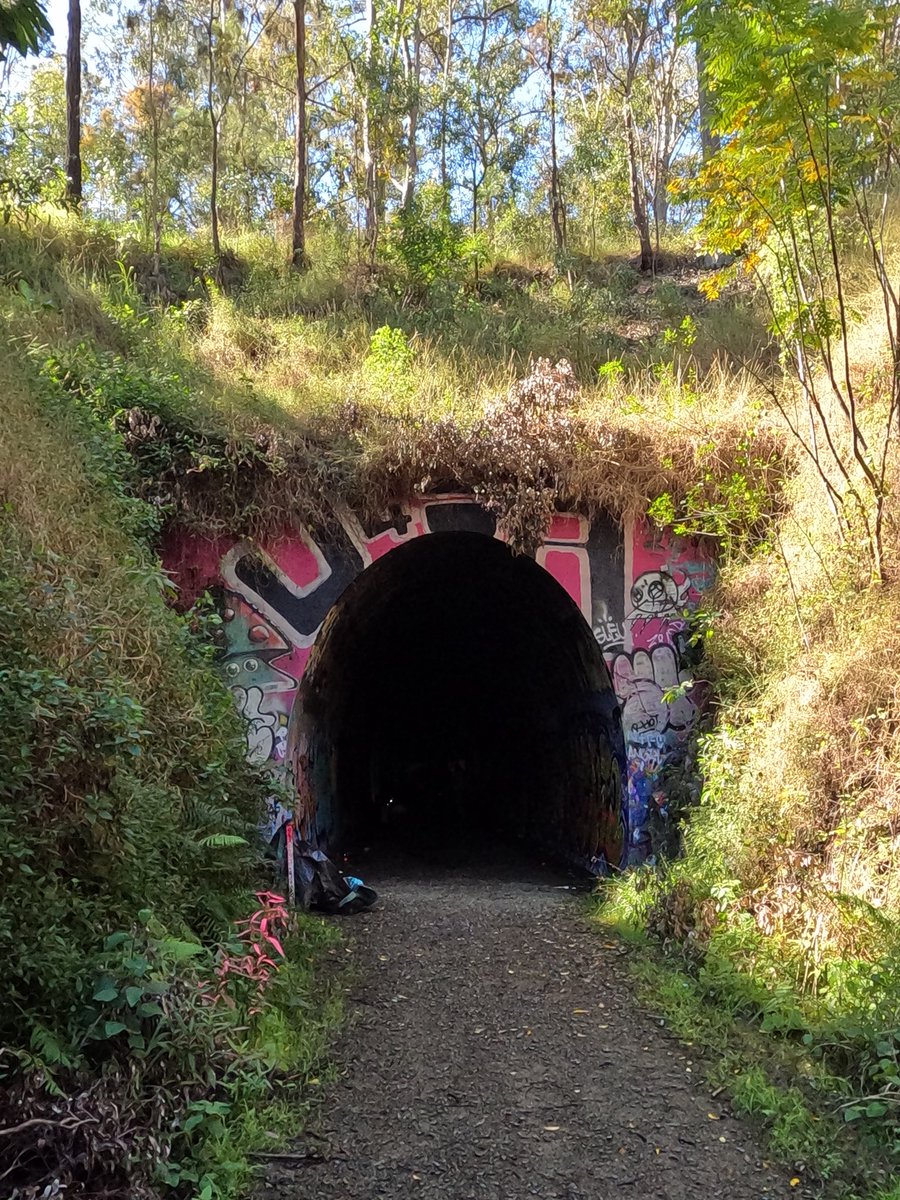 Snakenoodlesoup tweet media