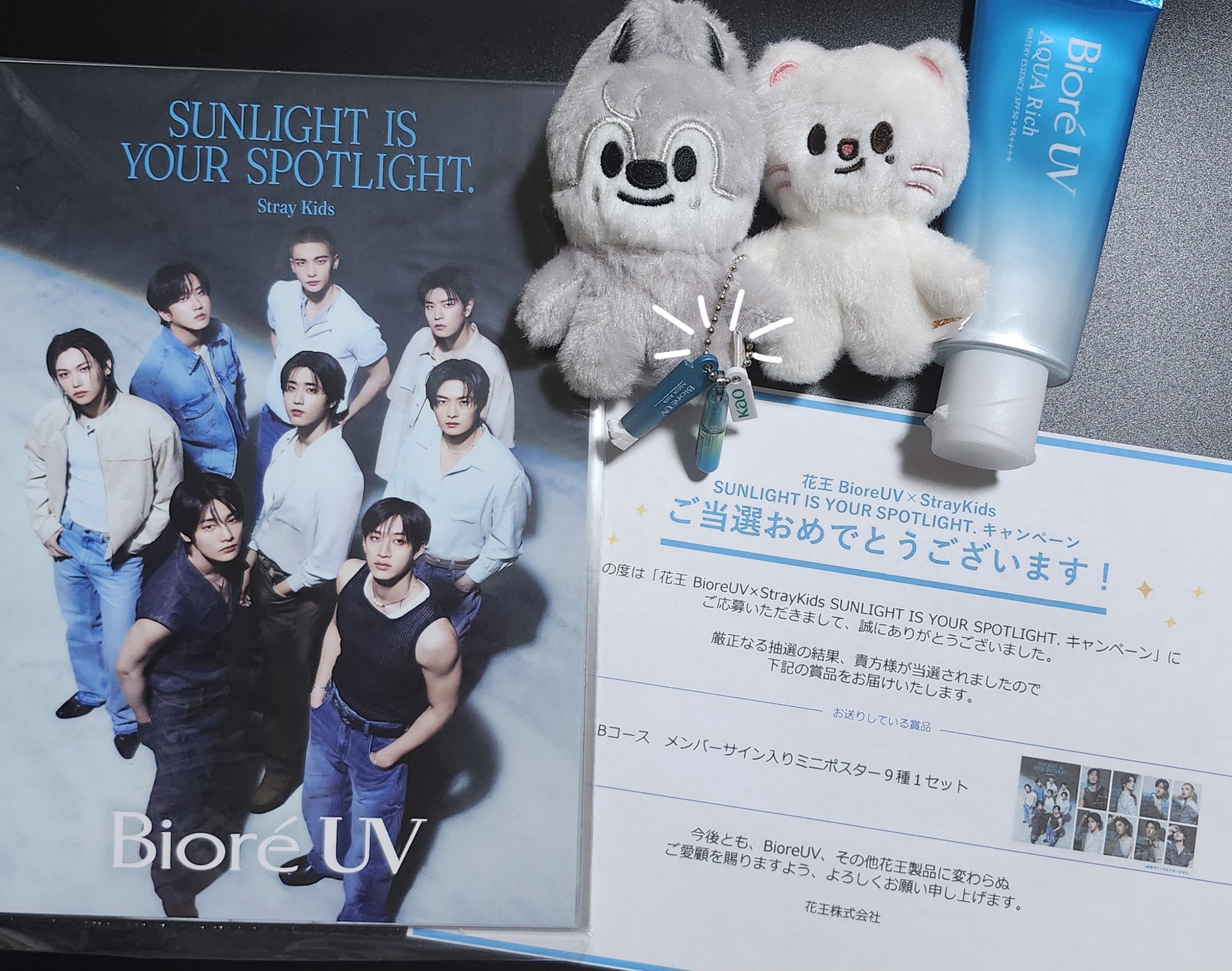 StrayKids スキズ　花王UV ミニポスター9種1セット StrayKids スキズ 花王UV ミニポスター9種1セット - メルカリ
