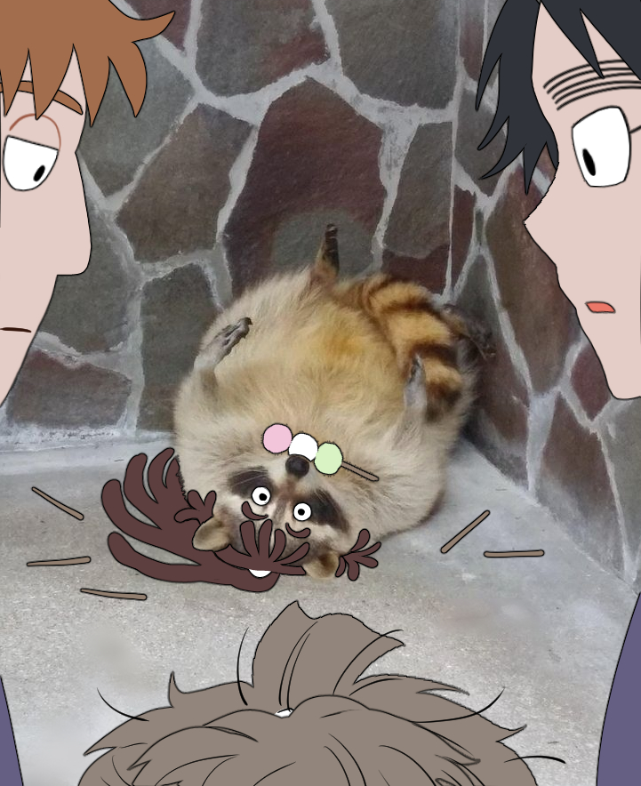 🚷 (@hol_nabi) on Twitter photo 