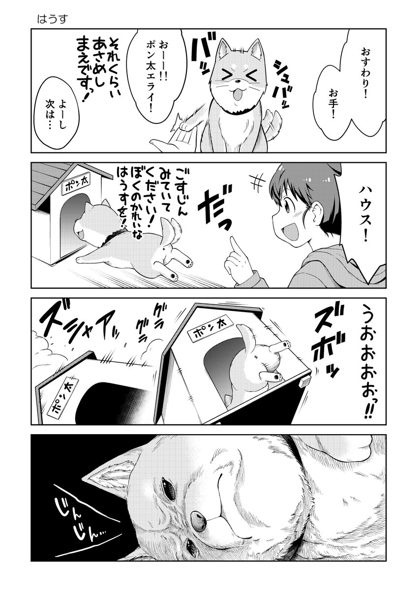4/6 