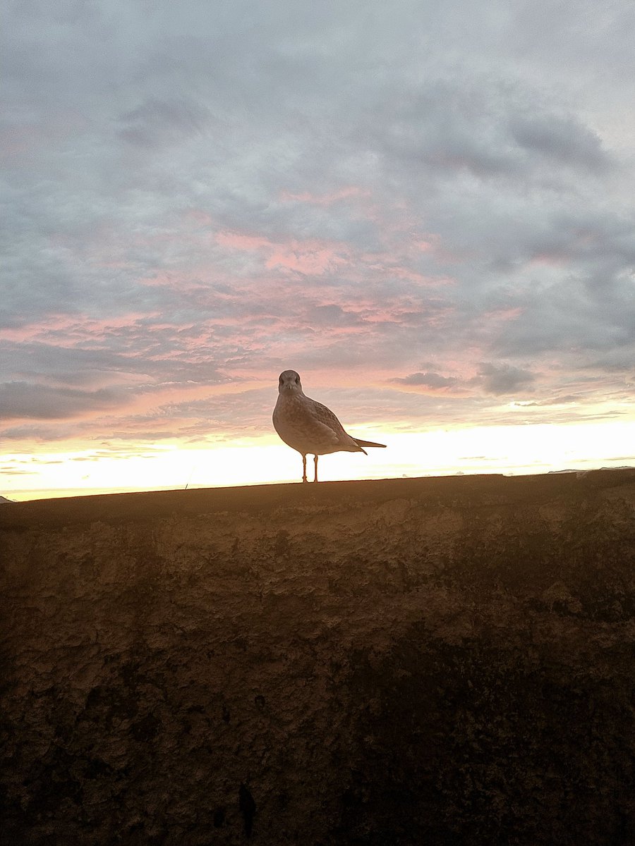 Who needs a foll0w? 👁👁

Say "Five" to my fren ❤️
 - lets c0nnect 👇