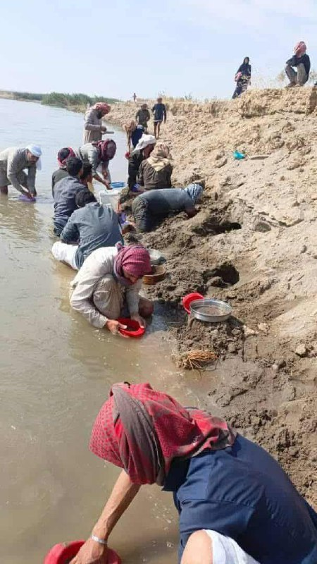 slmhktn's tweet photo. 🔴Fırat Nehri'nin sularının çekilmesi, Suriye'nin Rakka kentinin doğusundaki Elbu Hamad köyü sakinleri için beklenmedik bir keşfe yol açtı. Köylüler, nehir yatağında altın parçacıkları (tozu) buldu.

Konunun sosyal medyada hızla yayılmasının ardından, bölgeye çok sayıda kişinin hücum ettiği bildirildi.