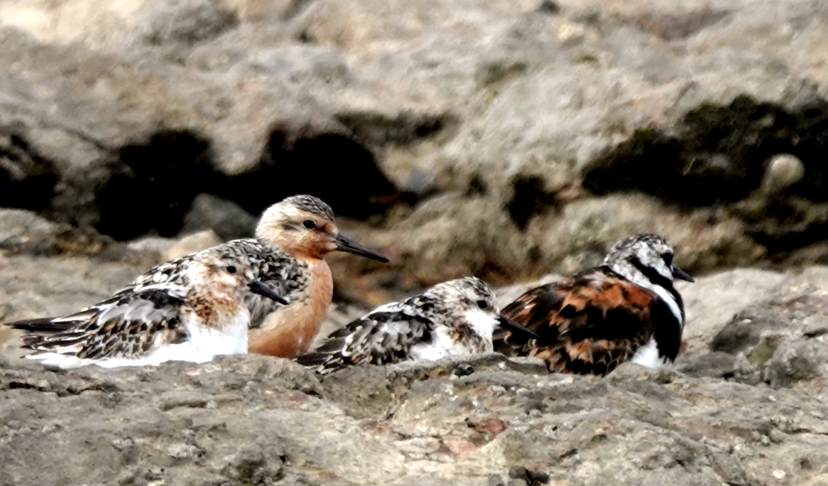 Neil Donaghy tweet media