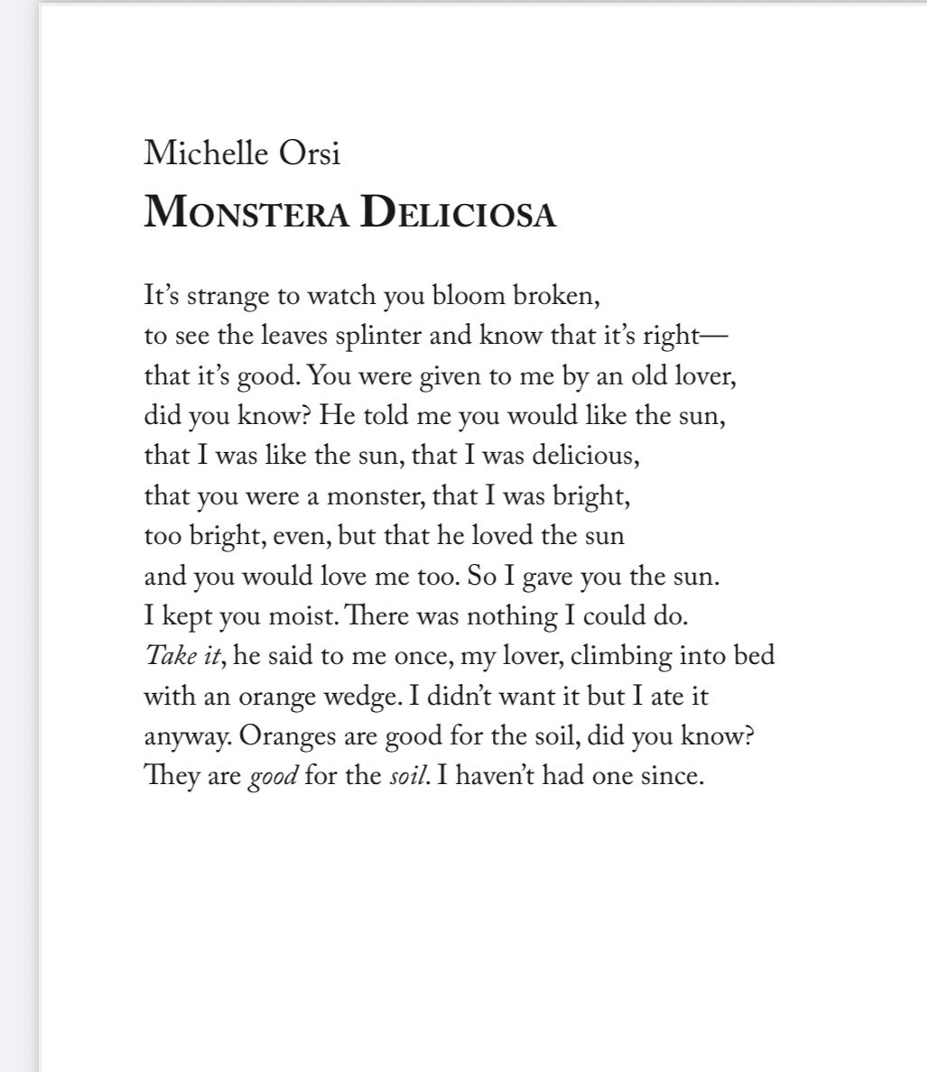 shell_orsi's tweet image. Thank you @TheFLReview for publishing this little poem of mine! 🪴 ☀️