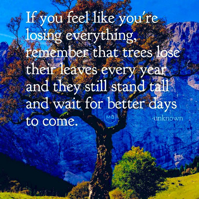 repost <a href="/gary_hensel/">Gary Hensel</a>

#JoyTRAIN
