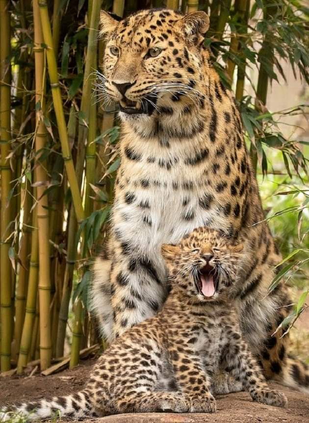 Lovely afternoon!
Buon proseguimento di giornata!
#NatureBeauty