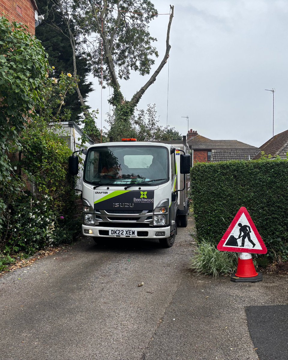 BossBeechwood's tweet image. Work in progress in Coventry 🌳
 We’ve just finished a safe tree felling, and we’ll be on-site all week continuing with reductions to the trees at the back.
 📍Keeping things tidy, one cut at a time.
 #TreeWork #TreeSurgery #CoventryJobs #BeechwoodTrees #ArboristsUK