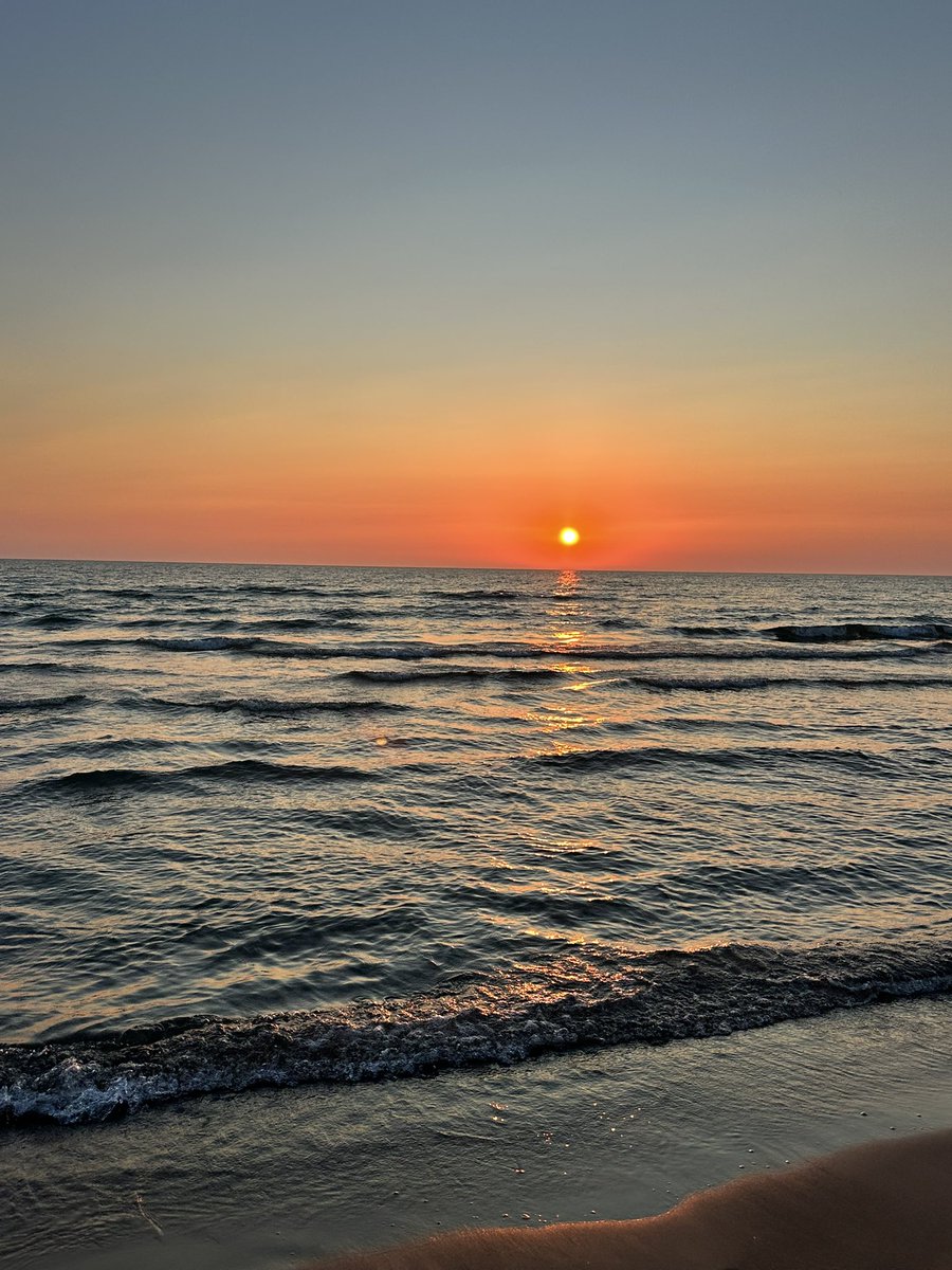 Mike Ianni-Palarchio tweet media