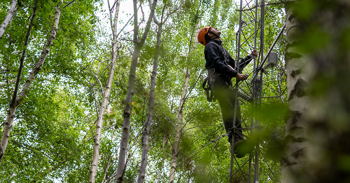 #Save the date: 15 Dec | 📍EICC, Edinburgh

The National Environment Monitoring Conference 2025 from <a href="/BritishEcolSoc/">British Ecological Society</a>, UKCEH and UKEOF

From Insight to Impact: Building the UK Environmental Monitoring Community

Learn more: britishecologicalsociety.org/content/nation…