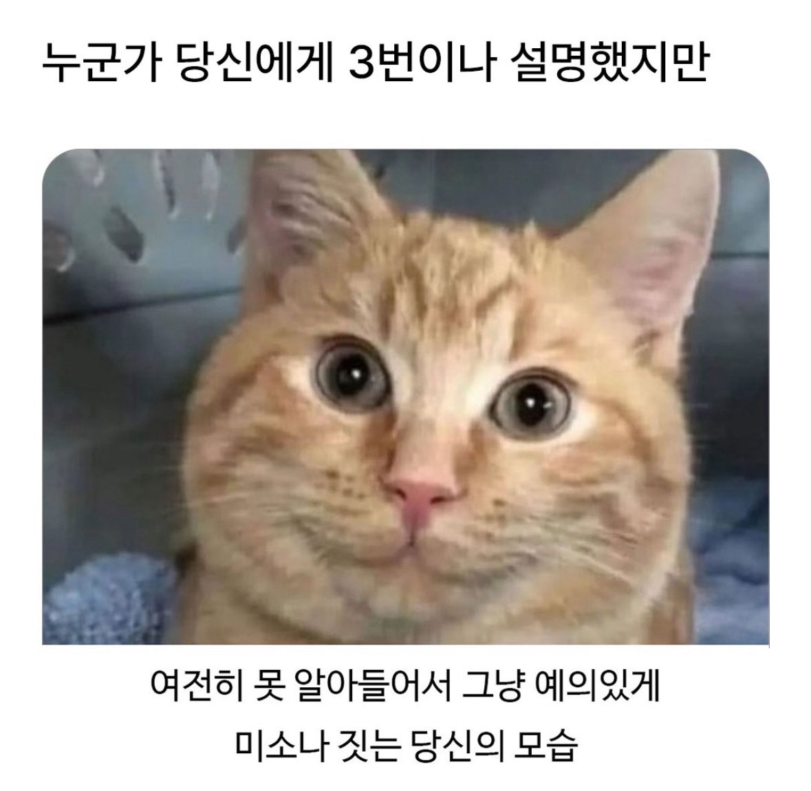 북크북크 (@akzkfltm2) on Twitter photo 