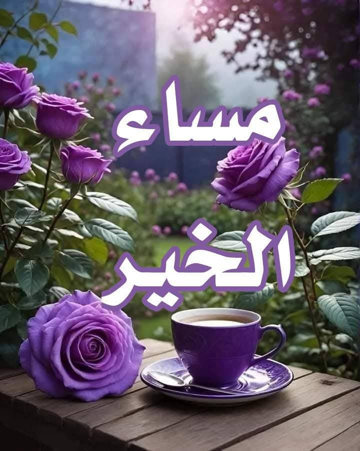 *┈┉━━╭🌹╮━━┉┈*
*اللهُــــم فـــي هـــذا المسـاء  سـخـــر لنا مــــن الأقــــدار*
*أجمـلـهـا ومــــن السـعــــادة أكـملـهـا ومـــــن الأمــــور*
*أسهلهـا ومــــن الخـــواطــــر أوسـعـهـا 🤍🤍*
*مـــســــاء الـــخـــيـــــــر*☕💜🌷
*┈┉━━╭🌹╮━━┉┈*