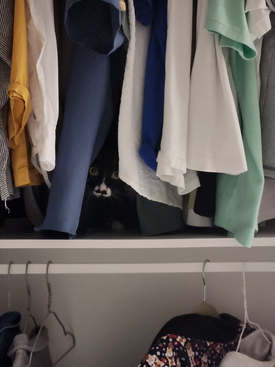 집에 처제가 오다