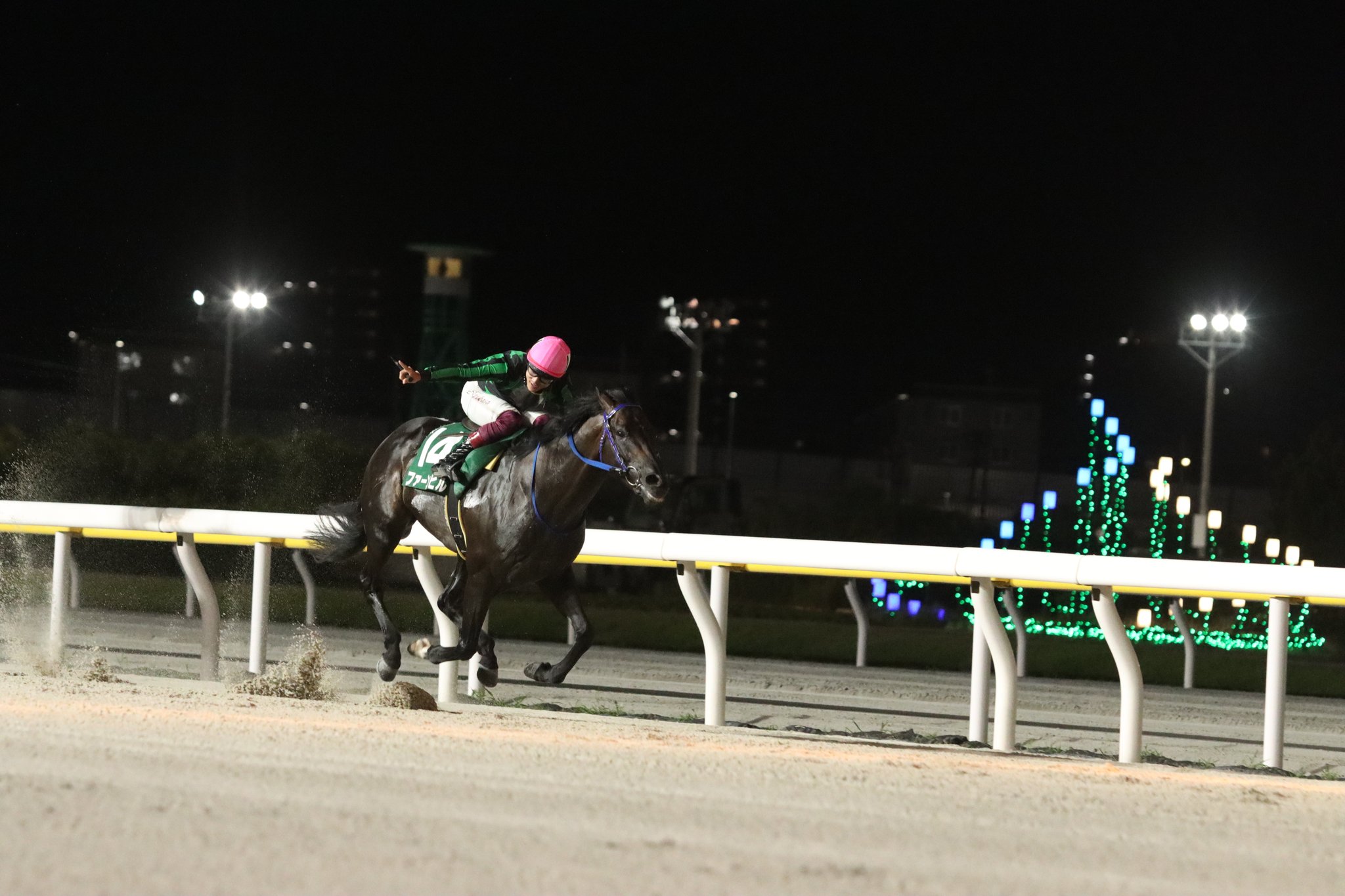 競走馬成績書22冊セット　地方競馬全国協会 地方競馬全国協会(NAR)公式 on X: 