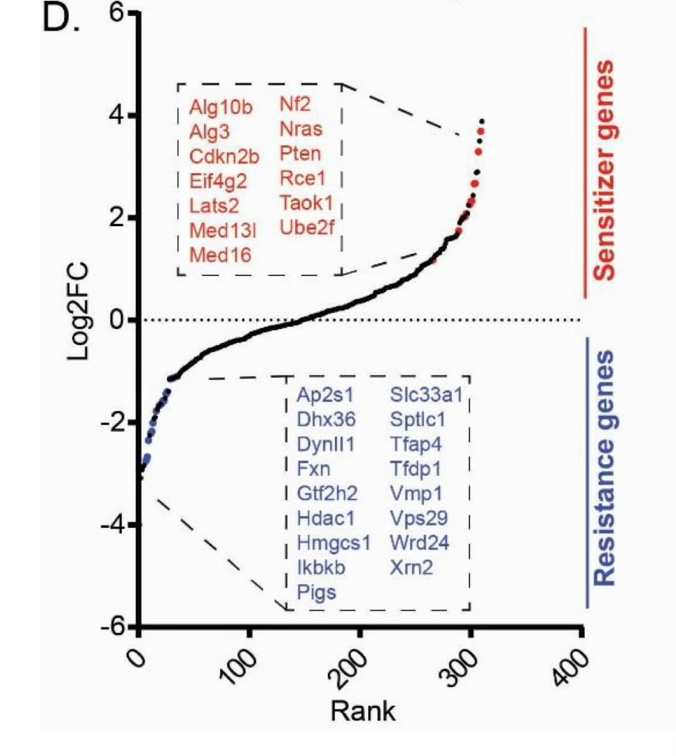 Anirban Maitra (@aiims1742) on Twitter photo New preprint from Hemann lab <a href="/kochinstitute/">Koch Institute at MIT</a>
In vivo screening reveals cell-intrinsic mediators of solid tumor resistance to CAR T cell-therapy
biorxiv.org/content/10.110…
CRISPR screens in #PancreaticCancer model identifies Nrf2 hyperactivity as a sensitizer to CAR-T cell therapy. New preprint from Hemann lab <a href="/kochinstitute/">Koch Institute at MIT</a>
In vivo screening reveals cell-intrinsic mediators of solid tumor resistance to CAR T cell-therapy
biorxiv.org/content/10.110…
CRISPR screens in #PancreaticCancer model identifies Nrf2 hyperactivity as a sensitizer to CAR-T cell therapy.