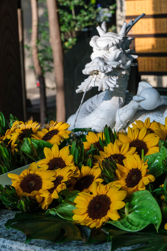 shin〔しん〕 (@1shinchan6) / Posts / X