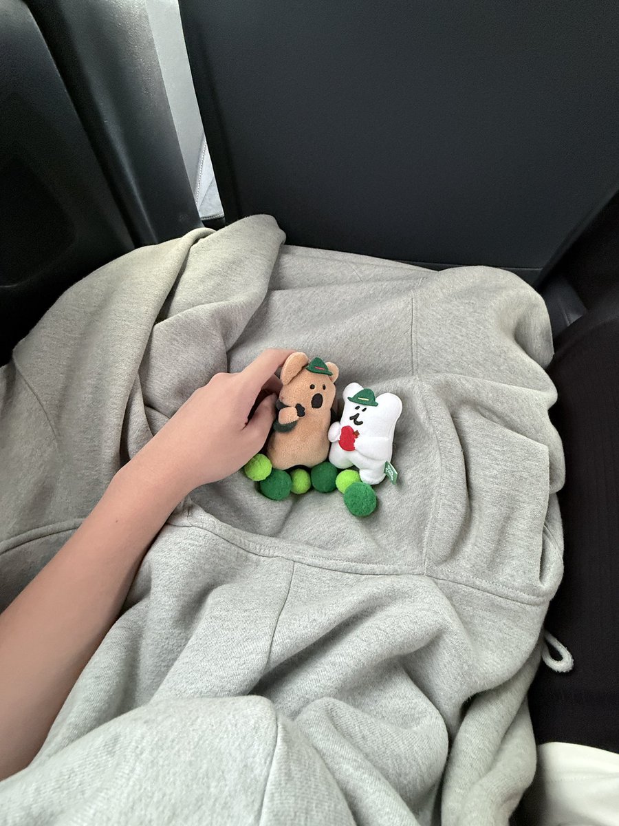 An___14_'s tweet photo. Quokka &amp; bobo https://t.co/txxgHiY7jO