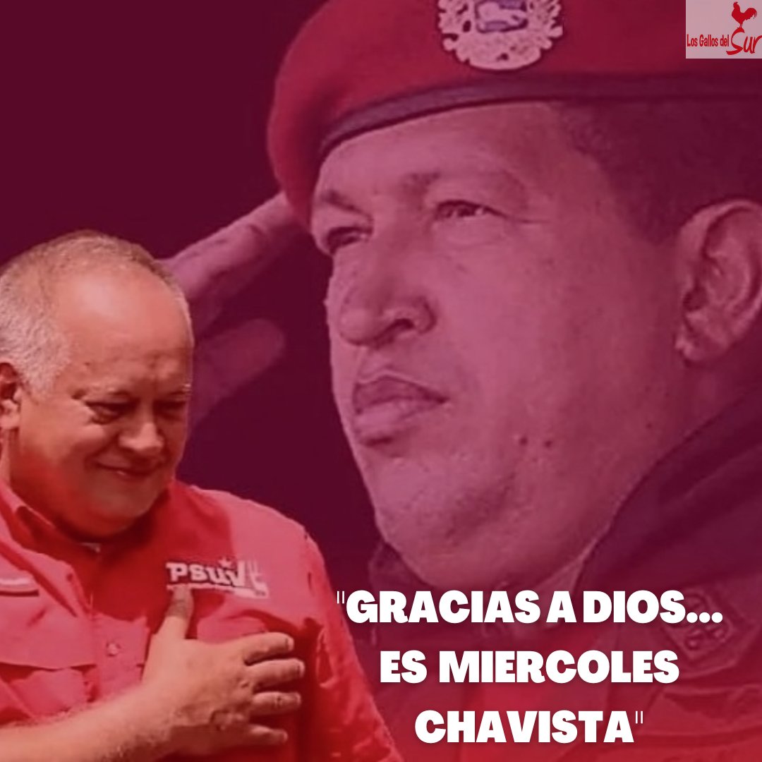 Los GALLOS del SUR tweet media