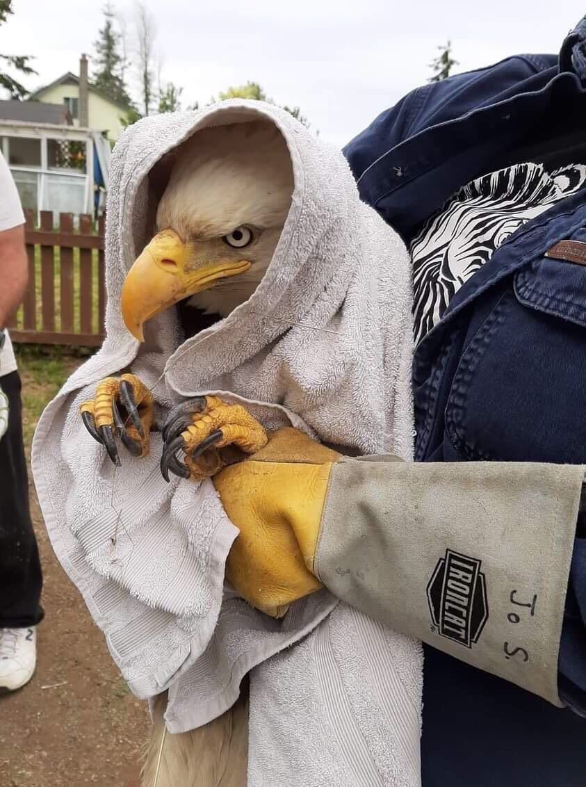 absolutely losing it over this picture