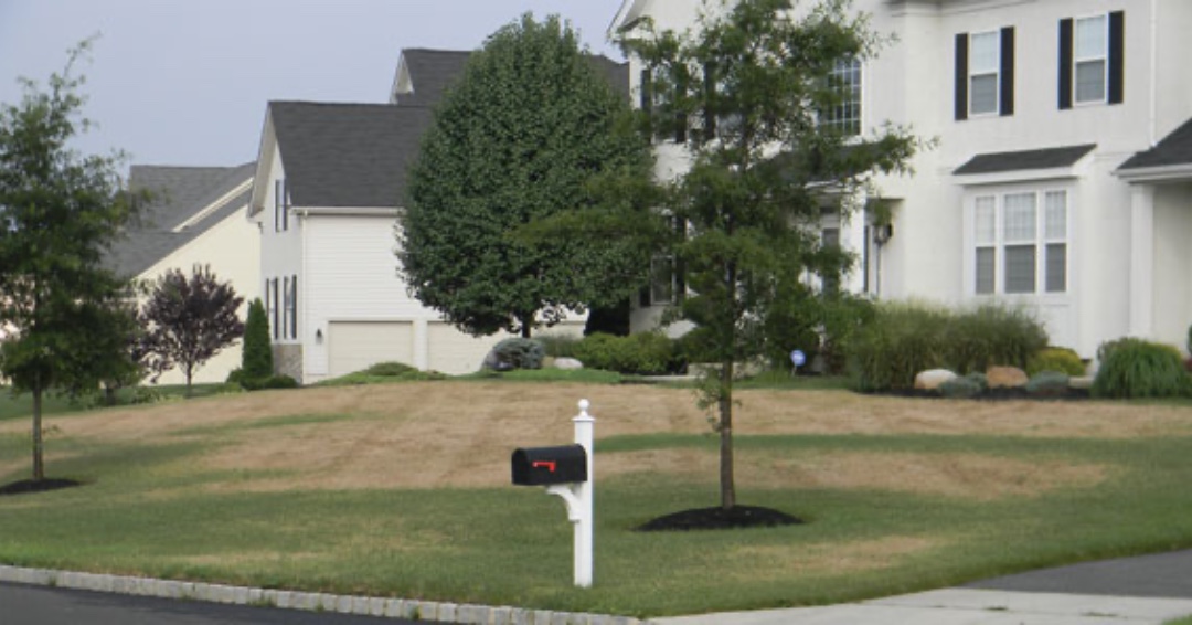 Summer sizzles, but your lawn doesn't have to fizzle! Reach out to Young's for a lawn restoration. From core aeration to hand seeding, we're committed to bringing back the lushness your lawn deserves. Call today 609-654-5441 to rejuvenate your green oasis today!