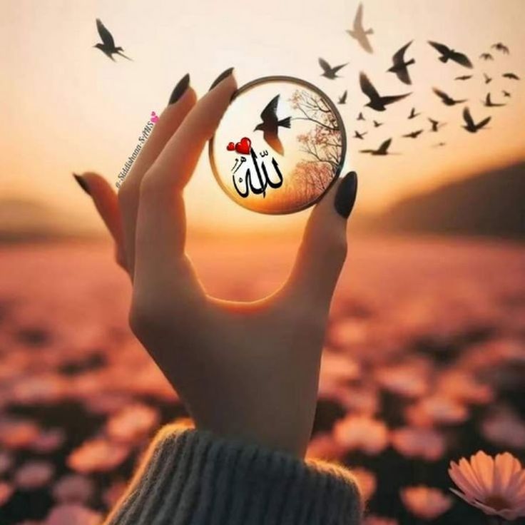 Muhammad Hilal (@m80mh) on Twitter photo #TPG
<a href="/1lalh/">Muhammad Hilal</a>
<a href="/glmsjd/">𝑺𝒂𝒋𝒋𝒂𝒅 ✨</a>
<a href="/k_a768/">KAMI</a>
<a href="/k_ali40/">kamran ali</a>
<a href="/TarqJ75/">میاں طارق جاوید</a>
<a href="/m80mh/">Muhammad Hilal</a>
<a href="/__Libra1/">𝚂𝚞𝚏𝚒𝚊 𝚂𝚑𝚊𝚑🍁</a>
<a href="/1Lvz0/">𝐿𝒶v𝑒𝑒𝓏𝒶_🍃</a> <a href="/ZK__35/">ZK</a>
<a href="/9oshg/">🌸 نوشی🌸</a> <a href="/Hfz48/">Hᴀғᴇᴇᴢᴀʜ Aᴋʙᴀʀ</a>
<a href="/1fazl2/">فضـ𝓪𝓴𝓫𝓪𝓻ـل</a> <a href="/1par0/">𝐐𝐮𝐞𝐞𝐧‿𝐩𝐚𝐫𝐨 ♡</a>
<a href="/Hfz_2/">Abdul Hafeez</a> <a href="/_Qpr1/">𝒬𝓊𝑒𝑒𝓃ꪫꤪꤨ𝒫𝓇𝑜𝓂𝑜♟️</a>
<a href="/Zt_1_/">Tʰᵘⁿᵈᵉʳ Sᑫᵘᵃᵈزندگی بن گئے ہو تم</a>
<a href="/PRx9k/">𝑷𝒓𝒊𝒏𝒄𝒆𝒔𝒔 𝑹𝒐𝒔𝒆❖</a>
<a href="/IK92K/">𝘼𝙡𝙞</a>
<a href="/Is_804/">itx_shieldTʰᵘⁿᵈᵉʳ Sᑫᵘᵃᵈ</a>
<a href="/anm40/">Anam Kanwal</a>
<a href="/Hmid71/">⤥𝙃𝙖𝙢𝙞𝙙 𝙎𝙝𝙯𝙖𝙙⤣</a>
<a href="/G0t_60/">Defaulter_HunTʰᵘⁿᵈᵉʳ Sᑫᵘᵃᵈ</a>
<a href="/Sprxzy2/">Umar PTI</a>
<a href="/1SJ_2/">Sufia SHah🍁</a> <a href="/Afd8_/">Marif AfriDi</a>
<a href="/1lra2/">Ajnabi monda</a> <a href="/IK76_/">ꁲꁲꂵ꒐ꌅ Տɑյյɑղ</a>
<a href="/_1rhe/">شازیہ</a> <a href="/1Lvz0/">𝐿𝒶v𝑒𝑒𝓏𝒶_🍃</a>
<a href="/MSTX011/">MsTf@</a>
<a href="/OdriSeva/">Odri Seva</a>
<a href="/Sc2017W/">SC2017</a>
<a href="/ZUMARk0/">ZH</a>
<a href="/Killer_364/">Serial_Killer</a> #TPG
<a href="/1lalh/">Muhammad Hilal</a>
<a href="/glmsjd/">𝑺𝒂𝒋𝒋𝒂𝒅 ✨</a>
<a href="/k_a768/">KAMI</a>
<a href="/k_ali40/">kamran ali</a>
<a href="/TarqJ75/">میاں طارق جاوید</a>
<a href="/m80mh/">Muhammad Hilal</a>
<a href="/__Libra1/">𝚂𝚞𝚏𝚒𝚊 𝚂𝚑𝚊𝚑🍁</a>
<a href="/1Lvz0/">𝐿𝒶v𝑒𝑒𝓏𝒶_🍃</a> <a href="/ZK__35/">ZK</a>
<a href="/9oshg/">🌸 نوشی🌸</a> <a href="/Hfz48/">Hᴀғᴇᴇᴢᴀʜ Aᴋʙᴀʀ</a>
<a href="/1fazl2/">فضـ𝓪𝓴𝓫𝓪𝓻ـل</a> <a href="/1par0/">𝐐𝐮𝐞𝐞𝐧‿𝐩𝐚𝐫𝐨 ♡</a>
<a href="/Hfz_2/">Abdul Hafeez</a> <a href="/_Qpr1/">𝒬𝓊𝑒𝑒𝓃ꪫꤪꤨ𝒫𝓇𝑜𝓂𝑜♟️</a>
<a href="/Zt_1_/">Tʰᵘⁿᵈᵉʳ Sᑫᵘᵃᵈزندگی بن گئے ہو تم</a>
<a href="/PRx9k/">𝑷𝒓𝒊𝒏𝒄𝒆𝒔𝒔 𝑹𝒐𝒔𝒆❖</a>
<a href="/IK92K/">𝘼𝙡𝙞</a>
<a href="/Is_804/">itx_shieldTʰᵘⁿᵈᵉʳ Sᑫᵘᵃᵈ</a>
<a href="/anm40/">Anam Kanwal</a>
<a href="/Hmid71/">⤥𝙃𝙖𝙢𝙞𝙙 𝙎𝙝𝙯𝙖𝙙⤣</a>
<a href="/G0t_60/">Defaulter_HunTʰᵘⁿᵈᵉʳ Sᑫᵘᵃᵈ</a>
<a href="/Sprxzy2/">Umar PTI</a>
<a href="/1SJ_2/">Sufia SHah🍁</a> <a href="/Afd8_/">Marif AfriDi</a>
<a href="/1lra2/">Ajnabi monda</a> <a href="/IK76_/">ꁲꁲꂵ꒐ꌅ Տɑյյɑղ</a>
<a href="/_1rhe/">شازیہ</a> <a href="/1Lvz0/">𝐿𝒶v𝑒𝑒𝓏𝒶_🍃</a>
<a href="/MSTX011/">MsTf@</a>
<a href="/OdriSeva/">Odri Seva</a>
<a href="/Sc2017W/">SC2017</a>
<a href="/ZUMARk0/">ZH</a>
<a href="/Killer_364/">Serial_Killer</a>