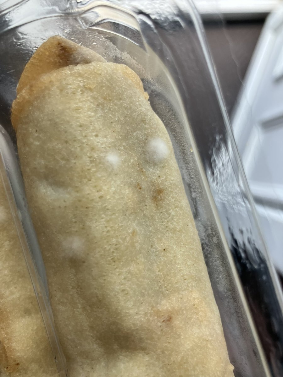 🐸Tracy Klein🐸 tweet media