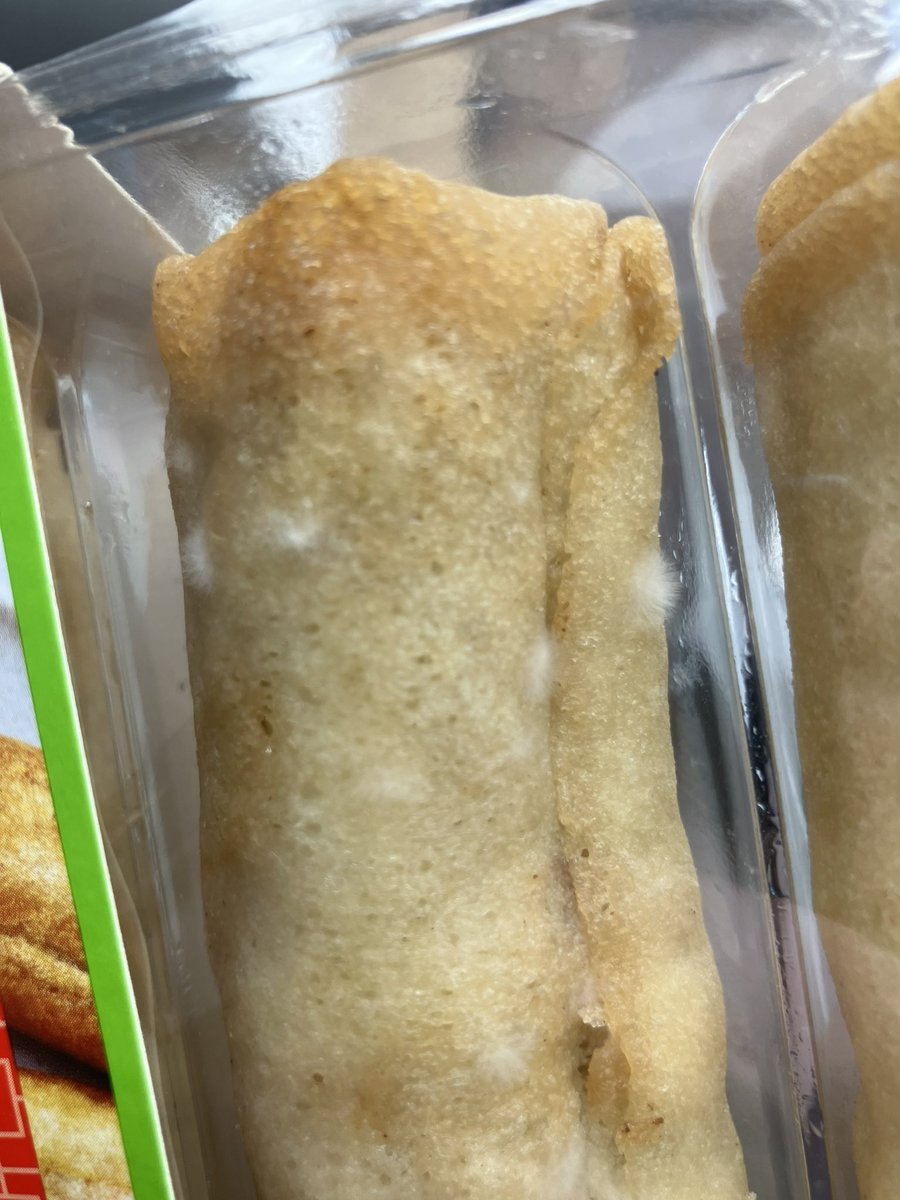 🐸Tracy Klein🐸 tweet media