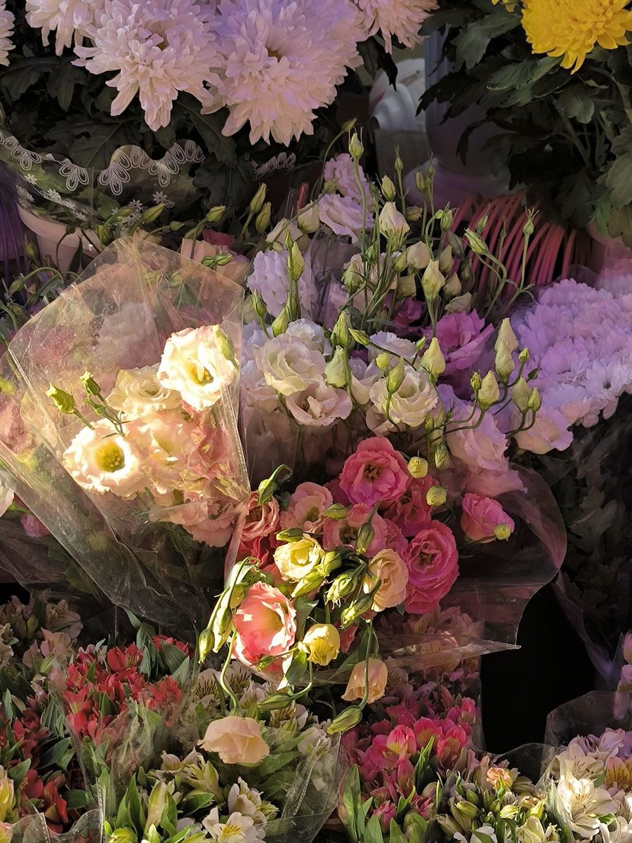 Minjeongt's tweet photo. @IVEREALM Selamat atas comebacknya cantik-cantikkuuu! Semoga sukses terus ya, ditunggu buat ajakan challengenya ;) 💗💗💗
+ @Yujen @jsngwony
#IVEIsRight
#DIVEとIVEはいつも大丈夫 https://t.co/vOxtkFFxZ4