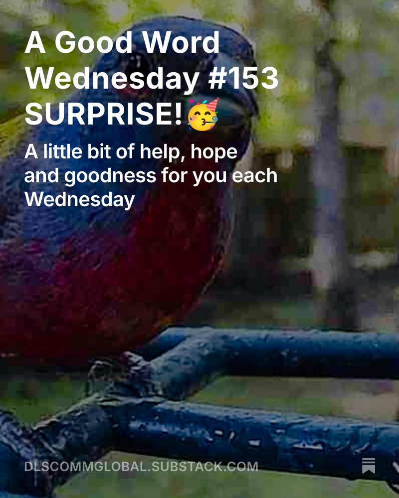 What surprises have brought you joy? What surprises have altered your life? Surprise! It's Your Good Word for Your Wednesday. open.substack.com/pub/dlscommglo…