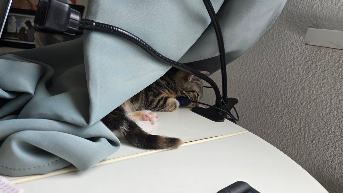 Van zo'n schattige poezel moet je toch smelten. 🥹