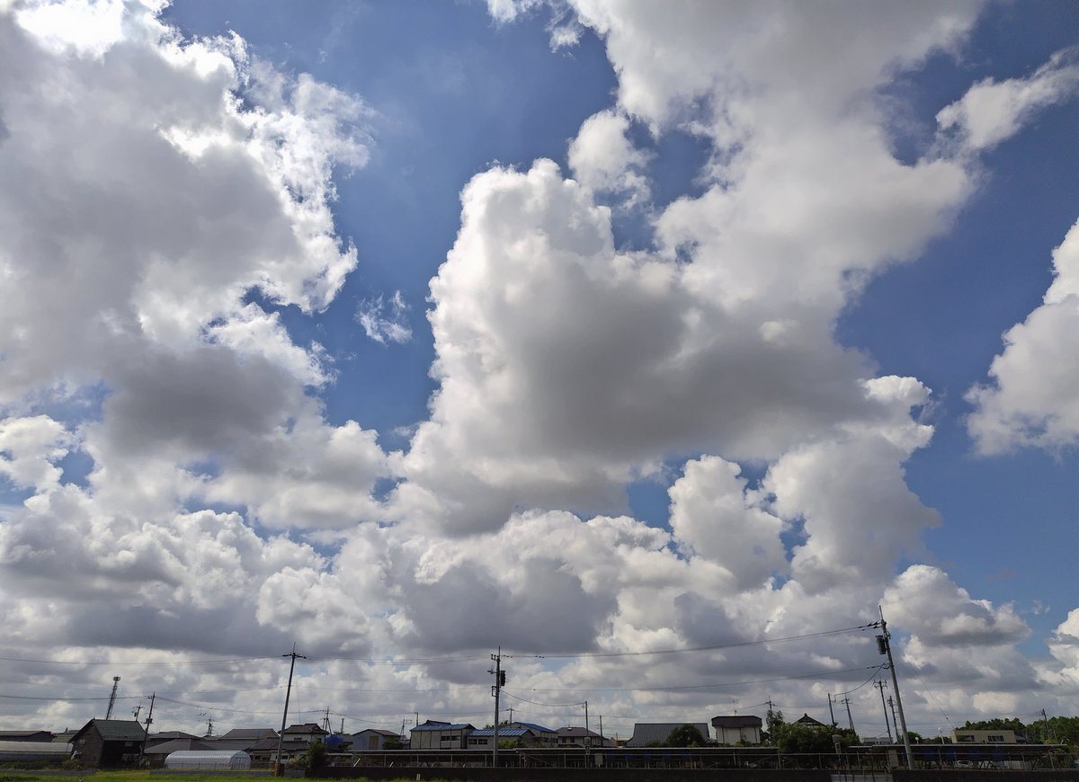 ❤星湖さま❤MoneyTree❤ moneytree | Facebook