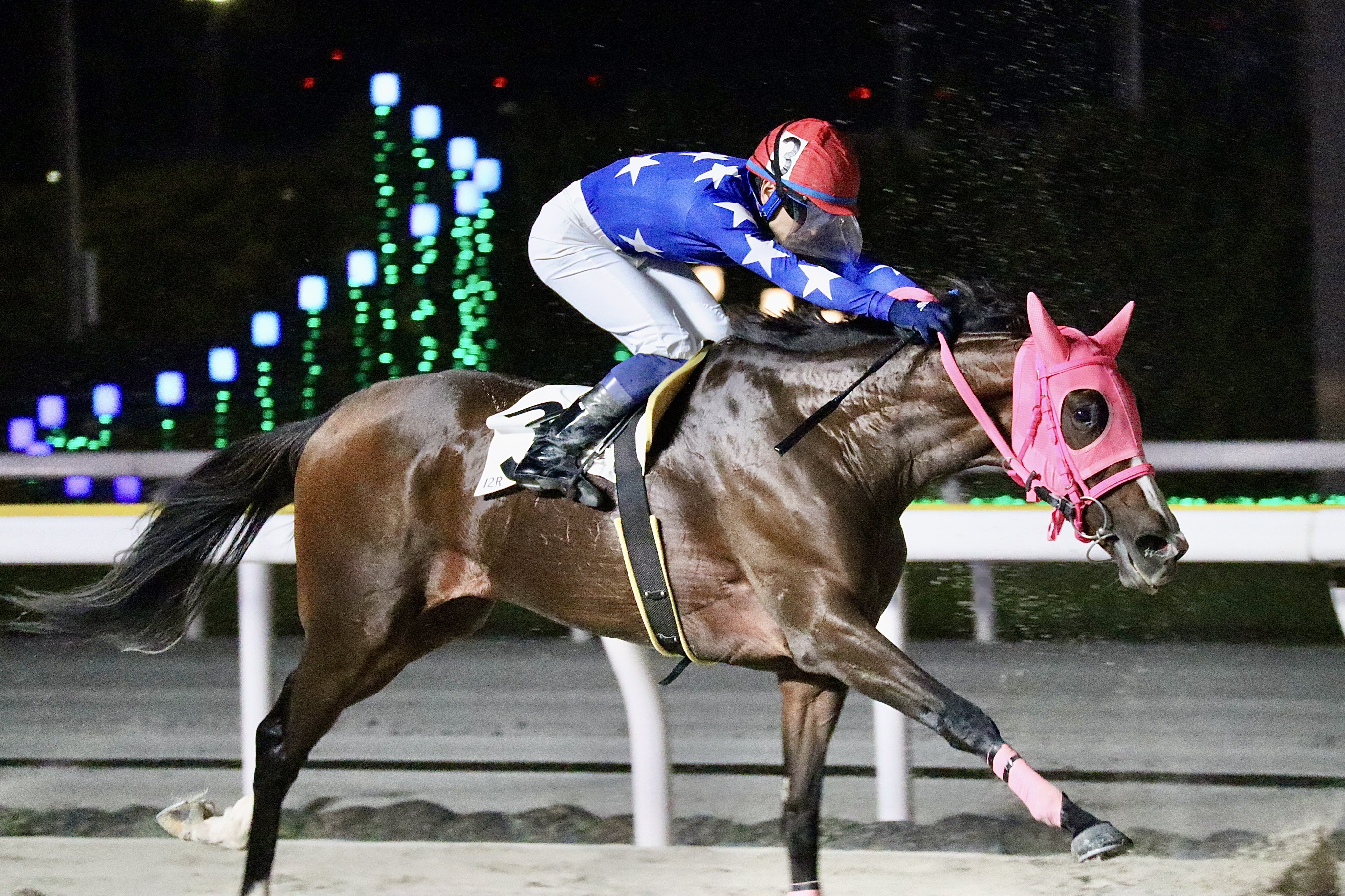 競走馬　THE VICTORY PLATINUM サラブレッド　未開封 ミハ (@to_the_victory1) / X
