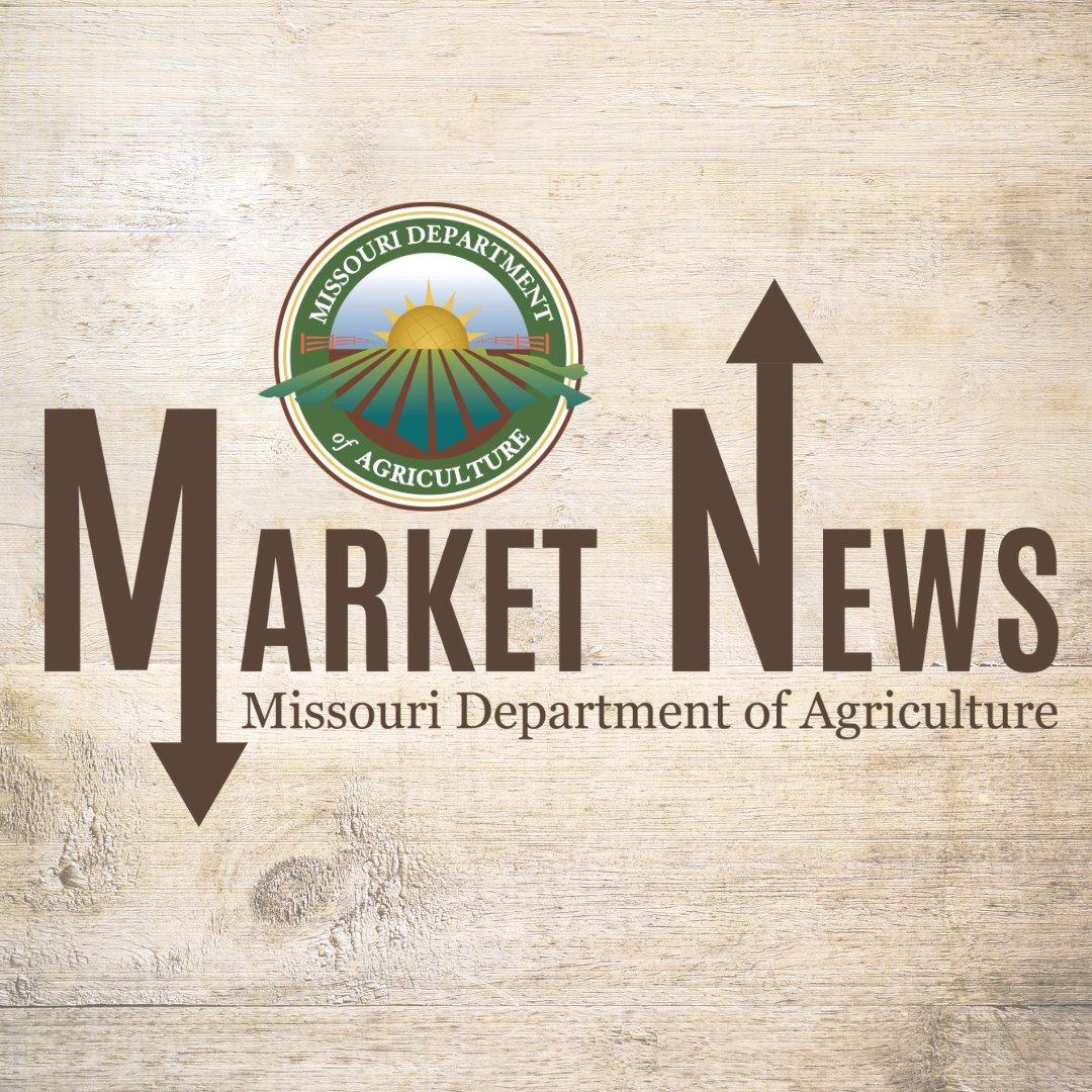 The MDA Weekly Market Report is now available. 👇

ow.ly/YVrc50WwTwx

#growMore