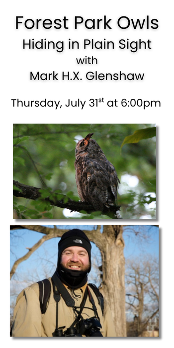 forestparkowls's tweet photo. Please join us this Thur 7/31 in Highland, IL to learn about the Great Horned Owls I study. FREE &amp; open to all! https://t.co/RWCoKxLJv9 @MadisonRecord @theEdwi @MetroEastLife @edwardsville_il @Nature_IL @IllinoisAudubon @SierraClubIL @INHSillinois @ForestPark4Ever @in_thestl https://t.co/VRfAgIHnwP