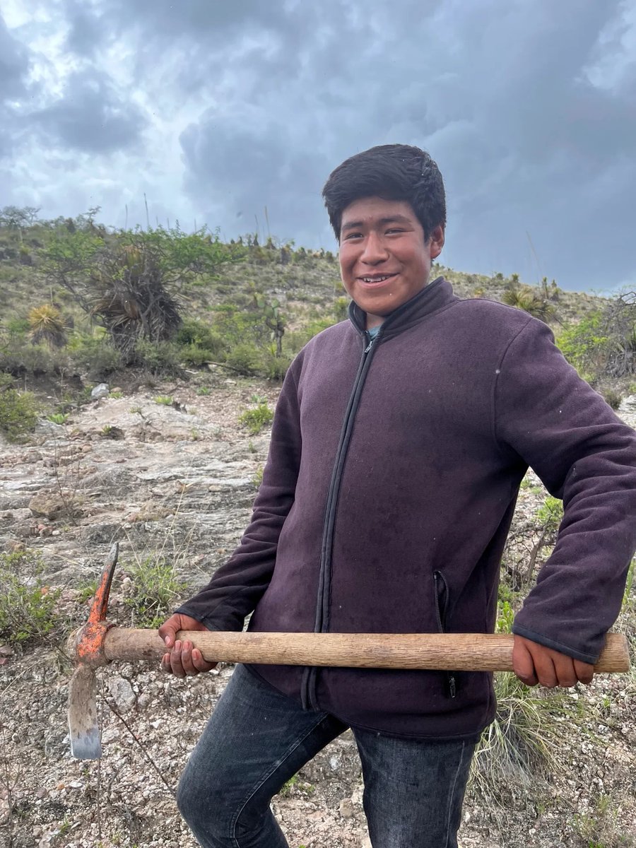 We’re glad to see that this year’s rainy season in Mexico has been generous—setting up our project for strong results.

Even with solid planning, logistics, and technical work, a good stretch of rainfall can make all the difference.