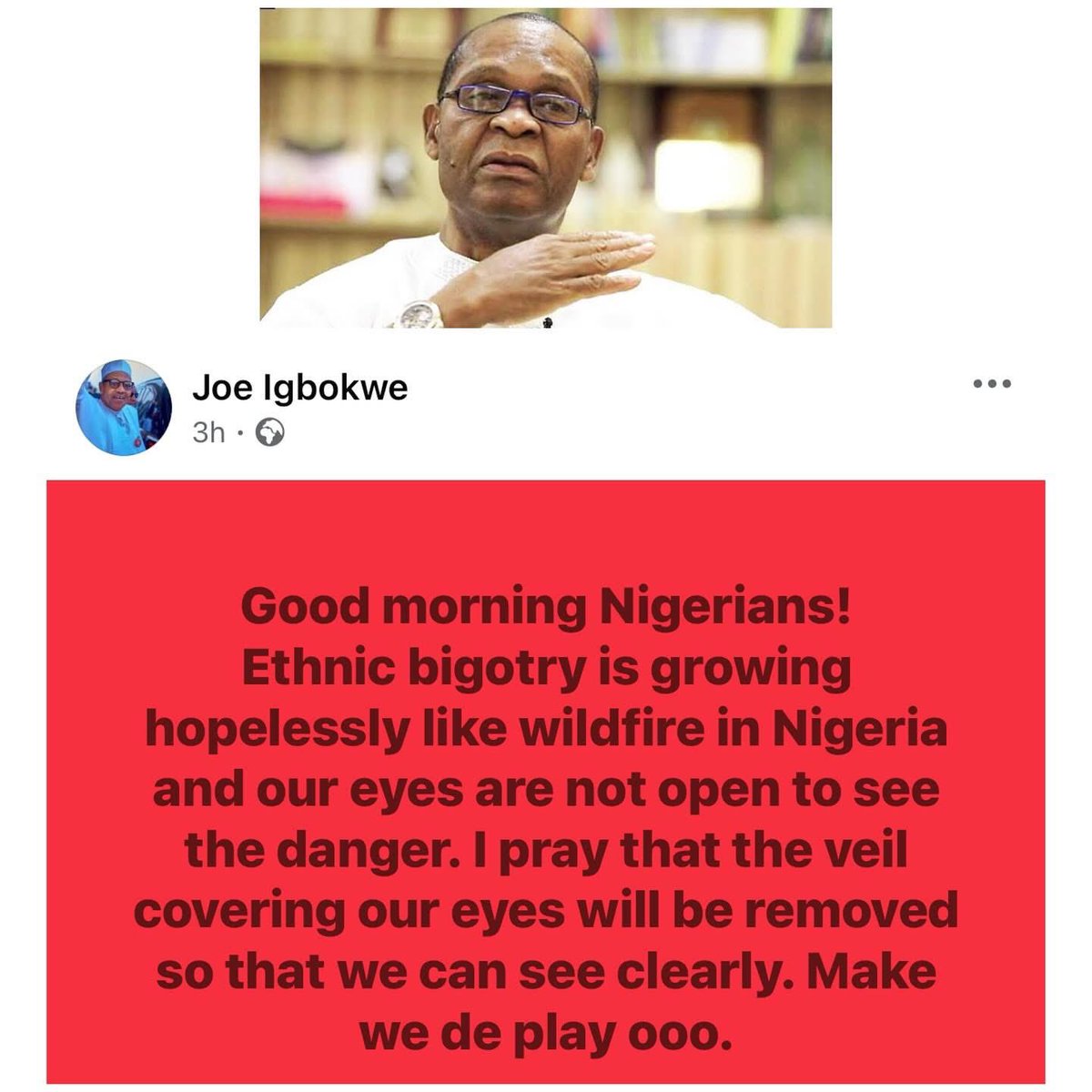 Ethnic big@try is growing hopelessly like wildfire in Nigeria- APC chieftain, Joe Igbokwe, raises alarm

—-
Igbos Isabella Dede Watkins Koyin GM CT Mensan Saka Kenny