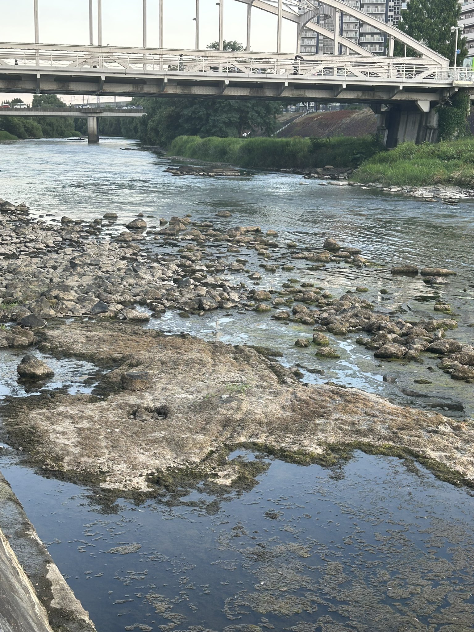 半澤満　一枚の繪【北上川（イギリス海岸と朝日橋）】 油彩 6号 k10.jpg?v=1741177520