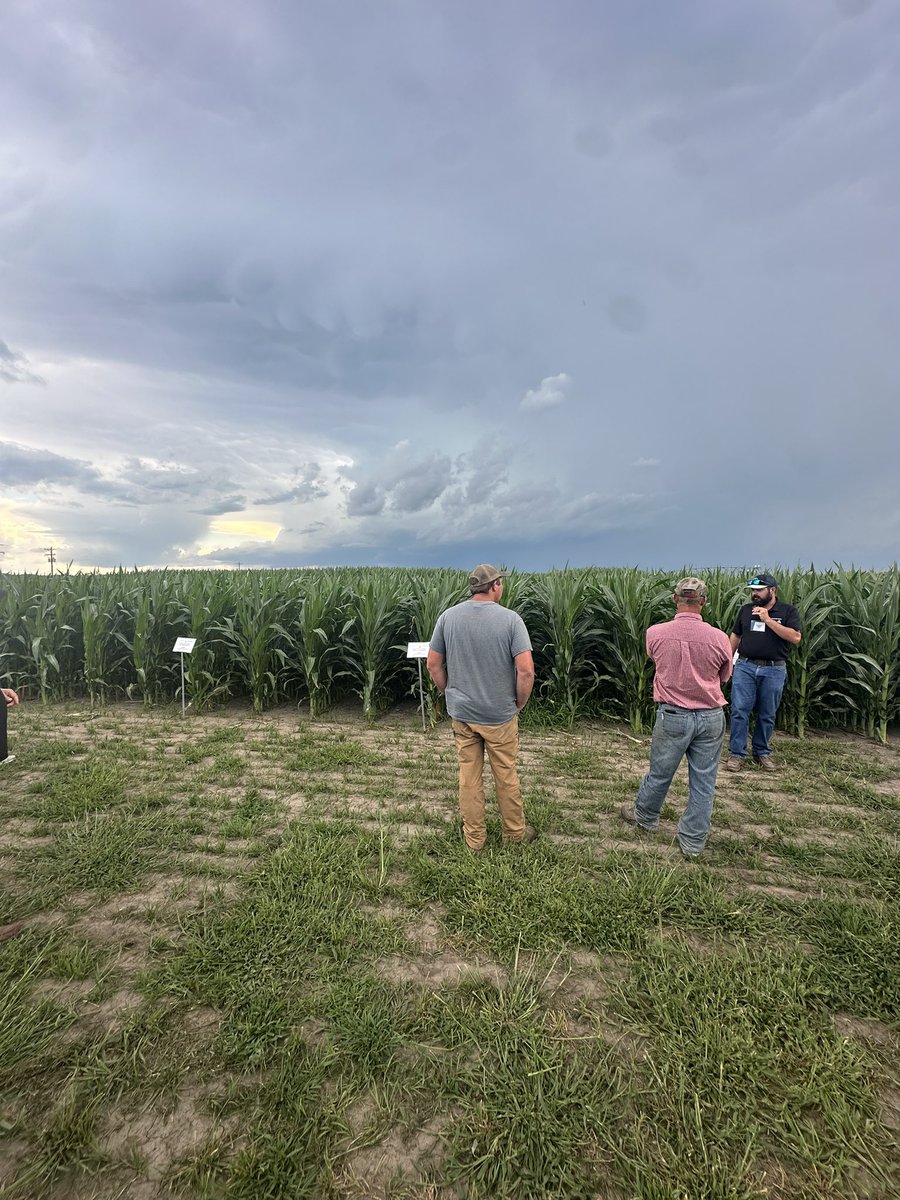 Last week, innovation days were held in Gothenburg, Nebraska! This event showcased crop technology and engaged industry experts. Together, we're paving the way for a sustainable future in agriculture. Here's to innovation and empowering our farming community!
#DEKALBAsgrow