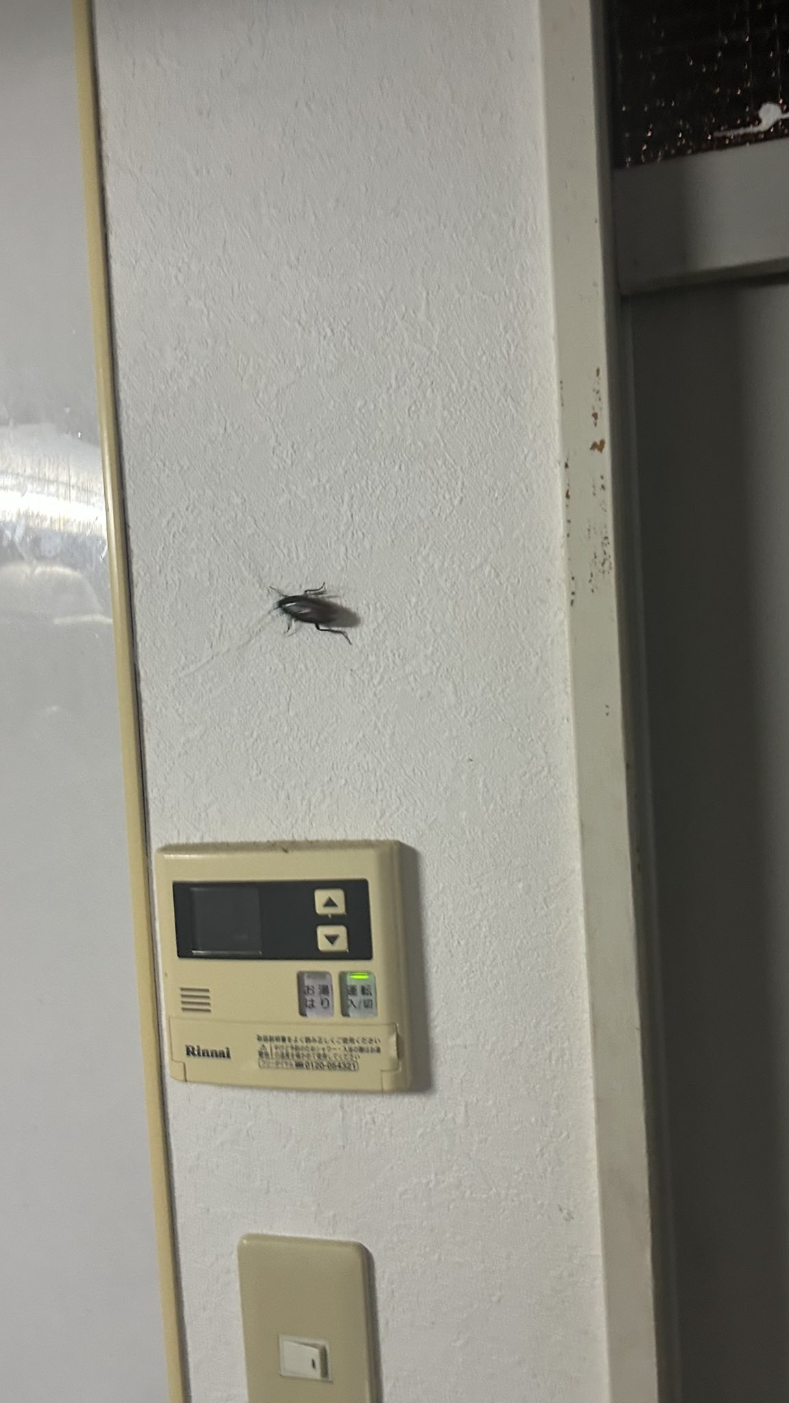 888 コメントからお願いです様 お詐欺にあいかけた話 クレカ作り直しめっちゃめんどくさかったです