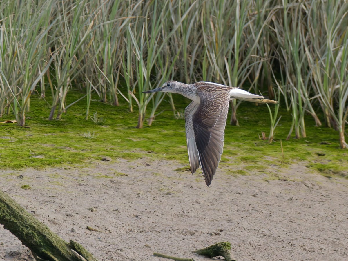 Paul Roberts tweet media